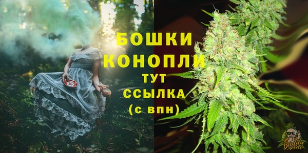 гидра Белоозёрский